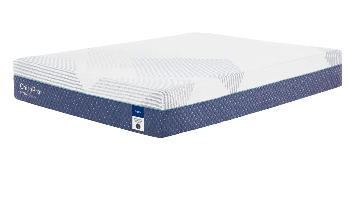 MLILY 13" ChiroPro Plusher 3.0 Hybrid - Select Mattress Co.