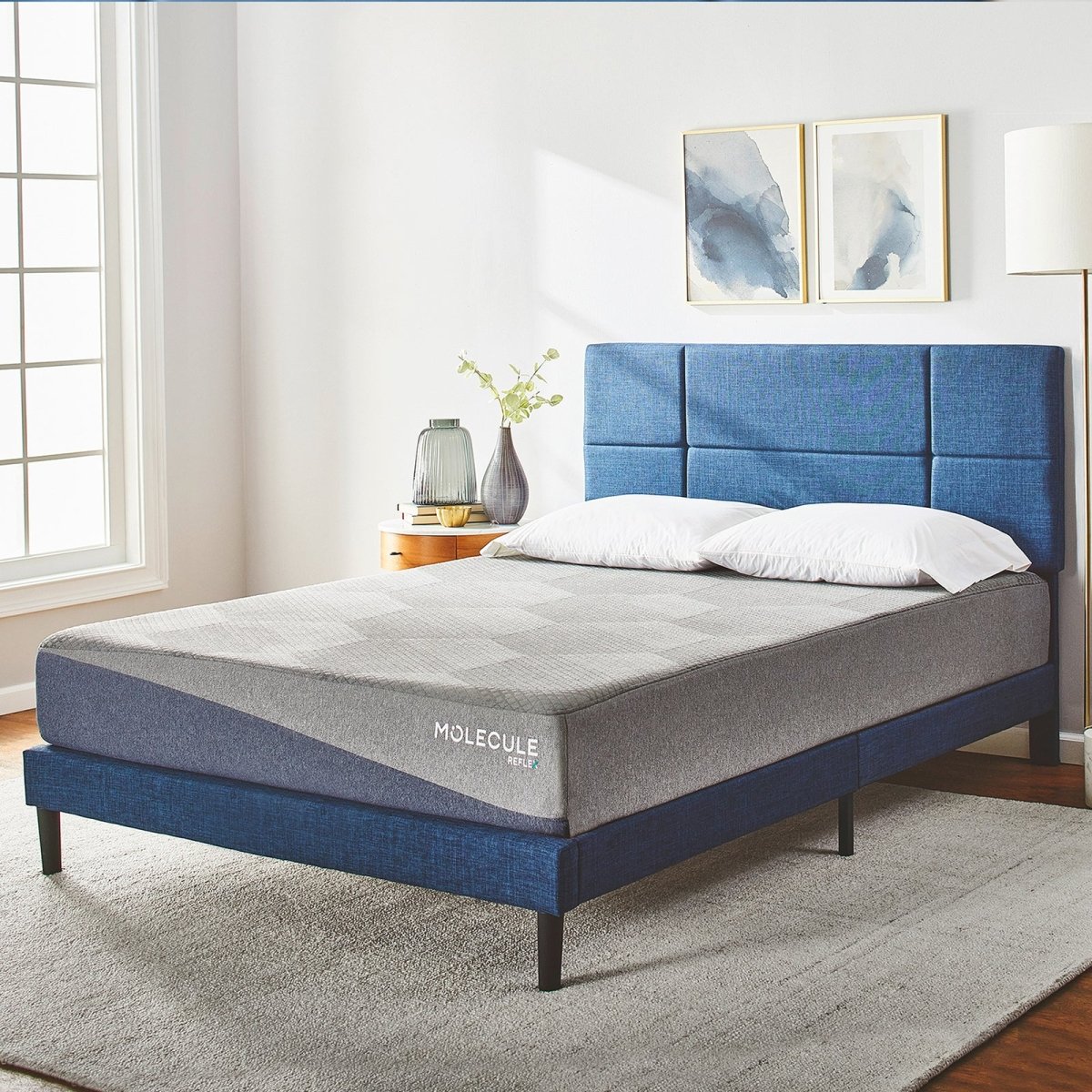 Molecule Reflex 10" Foam - Select Mattress Co.
