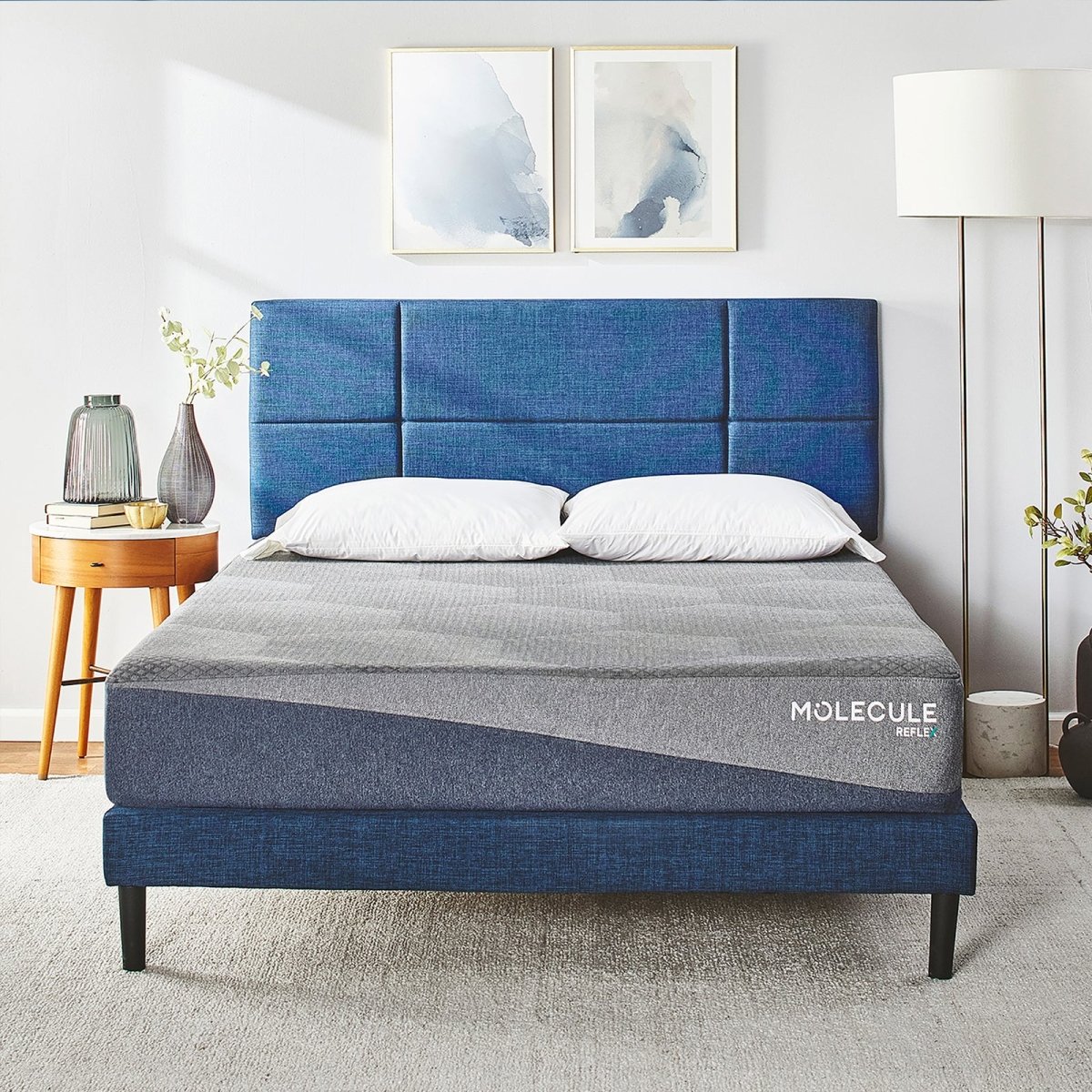 Molecule Reflex 10" Foam - Select Mattress Co.